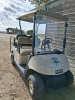 location voiture de golf électrique.jpg