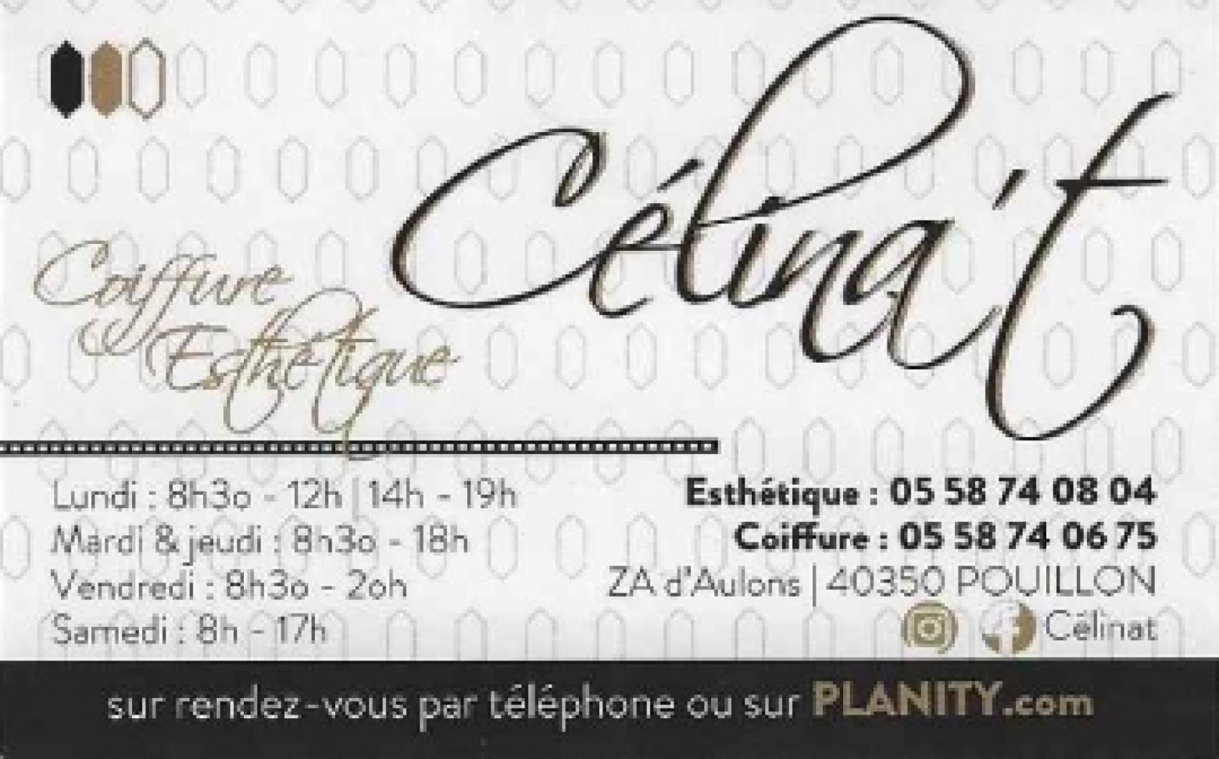 Logo CELINAT.jpg